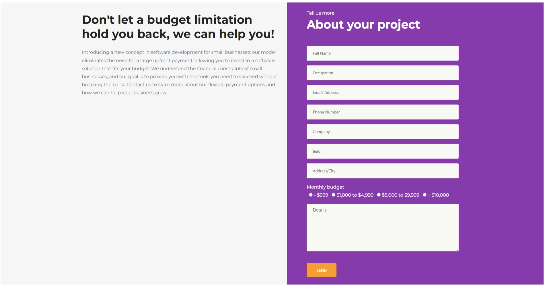 Custom Websites Screenshot 7