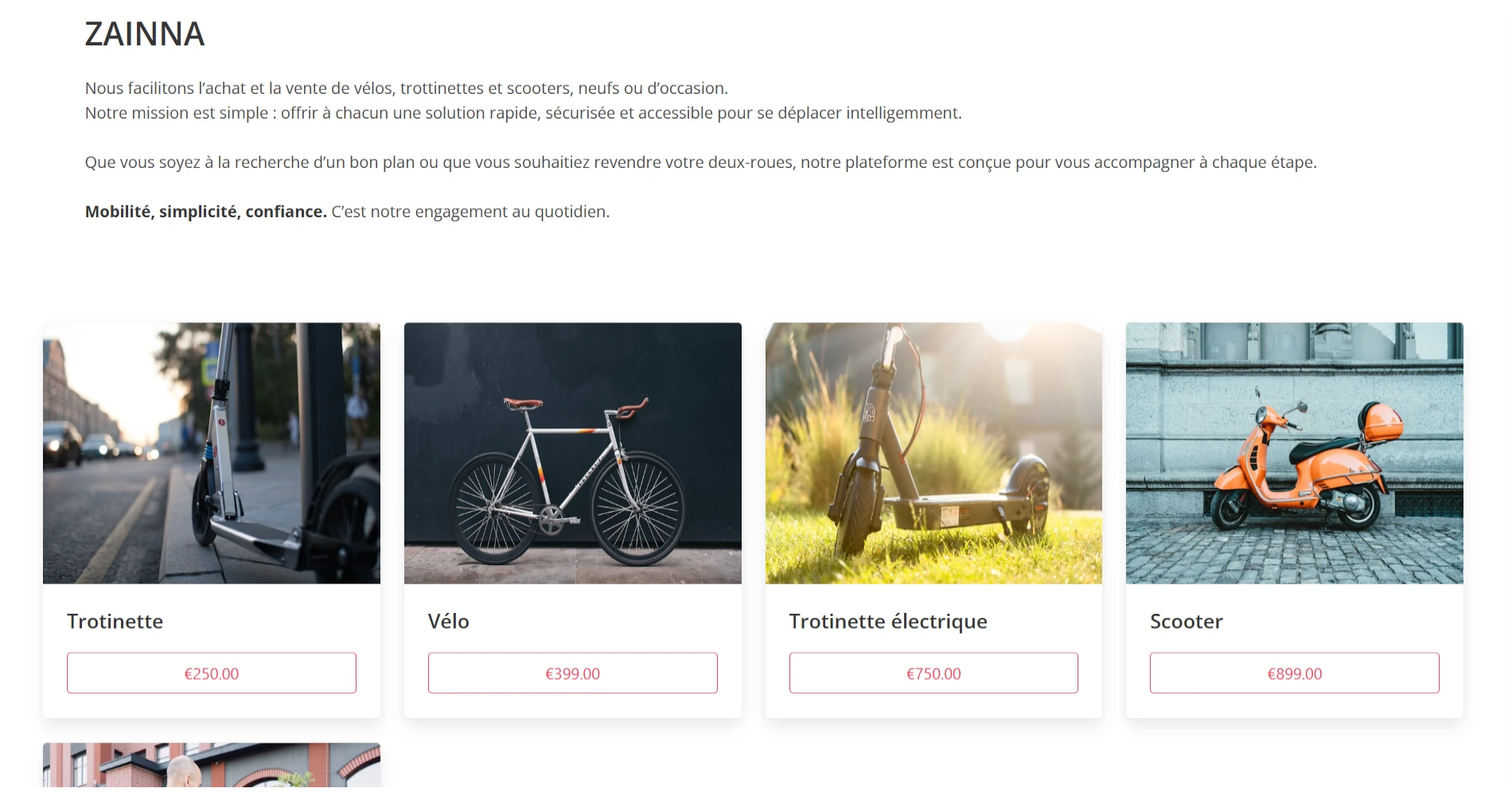 Custom Websites Screenshot 13
